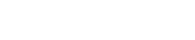 Intern
